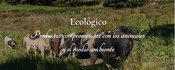 Productos Ecológicos